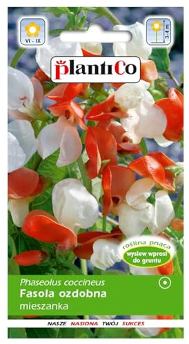 PlantiCo Haricot d'Espagne 10g Phaseolus Coccineus Graines Haricot d'Espagne Robuste Graines de légumes Graines de culture Serre Jardin Potager