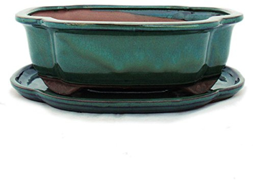 exotenhjärta bonsai med underlägg stor 4 – grön – haitang/oval – modell I4 – L 26 cm – B 20,5 cm – H 8,5 cm