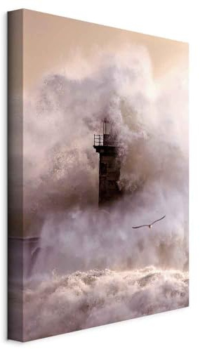 murando - Quadro Acustico Verticale Faro Nella Tempesta 60x90 cm 1 Pezzo - Stampa su Tela - Quadri Fonoassorbenti Decorativi Moderni - Protezione dai Rumori Camera da Letto - Uccelli c-C-0210-b-a