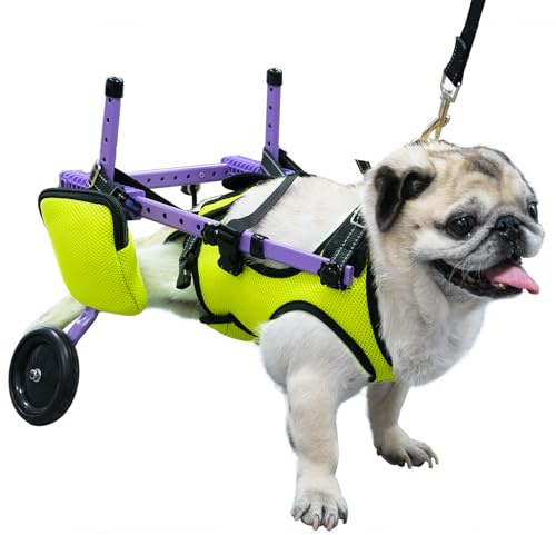 ZUAGI pet Wheelchair for Back Legs,Suitable for Back Legs,Cart Doggy Wheelchair for Disabled Legs Walking Mobility,Cat/Dog Hip Brace Leg Support