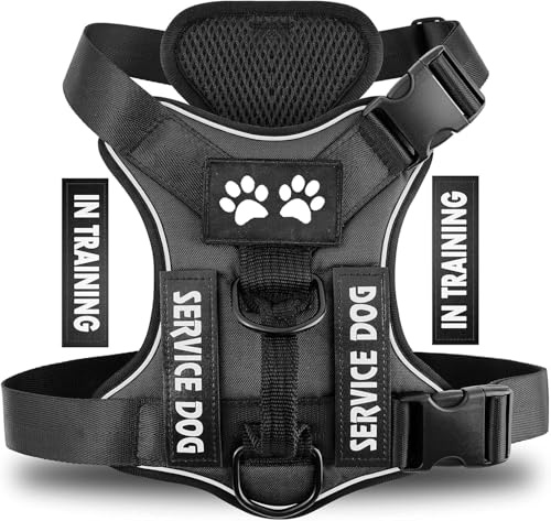 Harnais pour Chien Personnalisé, Confort Réglable et Respirable Réfléchissant Harnais Gilet pour Chiens Petits, Moyens et Grands