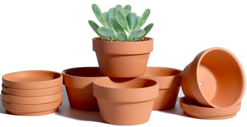 vensovo Terrakotta-Sukkulentententopf, 9,4 cm, flach, Terrakotta, Tontöpfe mit Untersetzer, Kakuten, Terra-Cotta, Pflanzgefäße für drinnen und draußen, mit Ablaufloch, 6 Stück