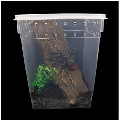 PXIWDAN Reptile Breeding Box Reptile Feeding Box for Invertebrates Mantis Spider Cricket Faunarium