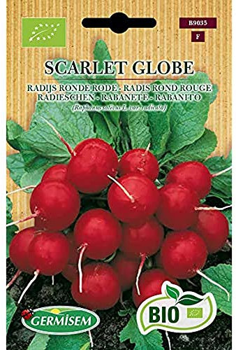 Germisem Bio Graines Radis rond rouge SCARLET GLOBE