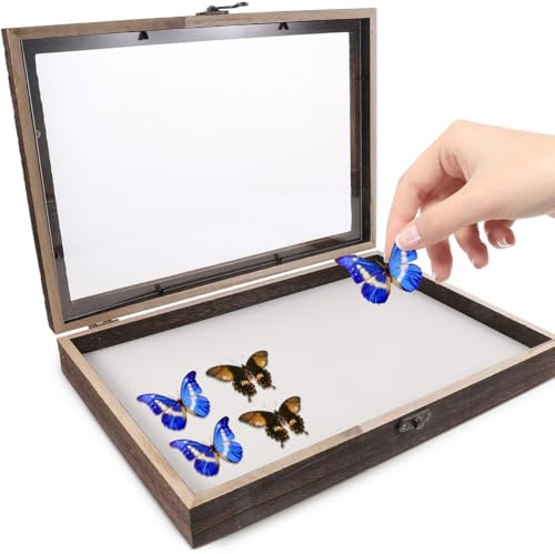 PRETYZOOM Caja de exhibición de insectos de madera vitrina para mariposas y muestras, funda transparente para colección de insectos, diseño vintage y multifuncional