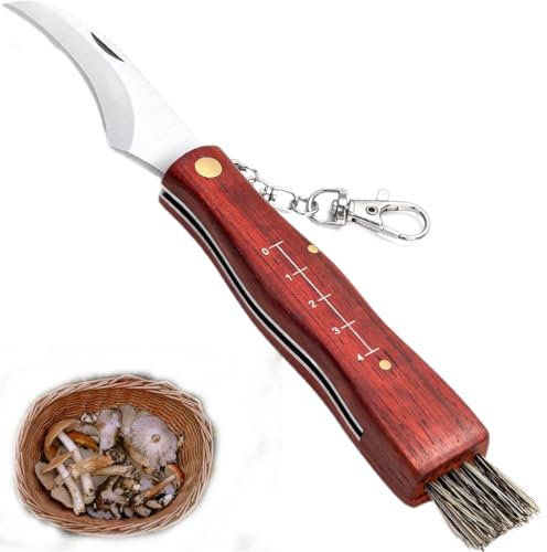 Pilzmesser Mit Bürste | Schwammerlmesser Zum Pilze Sammeln Mit Lineal, Pilz Taschenmesser Aus Rostfreiem Edelstahl, Pilzmesser, Pilzmesser Mit Skala, Klappbar, Mit Schlüsselanhänger, Länge 21cm