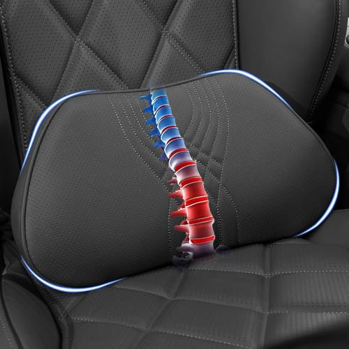 Dapucarin Cojín Lumbar Coche con Esponja Memoria, Cojin de Soporte Espalda Ergonómico para Silla de Oficina, Respaldo Lumbar Almohada de Apoyo para Asiento de Automóvi, Negro, 1 Pieza