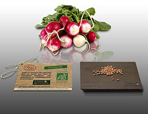 100 graines Bio à semer - Le Grenier d'Abondance - RADIS ROND National 2 - Certifié AB - Raphanus sativus