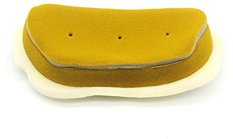 Flisdtry Filtro 'Aria per Moto YZF R6 YZFR6 YZF-R6 1999 2000 2001 2002 2003 2004 2005 Filtro 'Aria