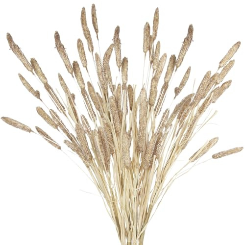 FRUNVS 4 Pcs Bunny Tails Artificial Flowers Spring Summer Plants Boho Pampas Grass 32 Floral Stems with Artificial Wheatgrass Brown Dried Flowers Arrangements for Fall Vase Home Decor Wedding