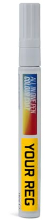 Auto Aerosol – Touch Up Paint Pen Mixed by Reg Registration Plate – Car Paint Repair for All Models - Exact Match Guarantee