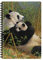 3D LiveLife A5 Notizbuch - Eine neue Dynastie von Deluxebase. 80-seitiges 3D-Panda-Notizbuch. Schul- oder Bürobedarfsmaterial mit Kunstwerken der renommierten Künstlerin Beth Hoselton