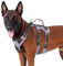 Huntboo Sicherheitsgeschirr Hund Ausbruchsicher, Panikgeschirr für Hunde, Reflektierendes Geschirr Hund mit Griff, Verstellbare Hundegeschirr für kleine, mittelgroße und große Hunde (Schwarz,L)