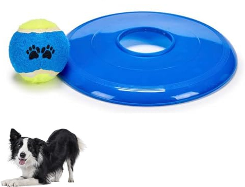 PARENCE. Hundleksak Flygande Skiva med Boll – Frisbee + Interaktiv Boll – Utomhusspel, Kasta & Hämta – Blå - Röd - Grön