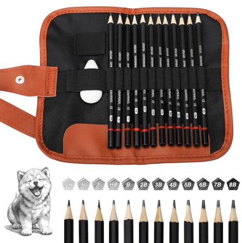 12 Stück Zeichenstifte, mit Stifterolle und Radiergummi, Zeichenset, Skizzenstifte 2H H F HB B 2B 3B 4B 5B 6B 7B 8B, Zeichensets für Künstler, Erwachsene, Zeichnungen, Skizzieren Liebhaberin
