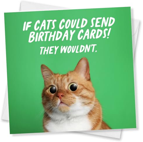 Punkcards - Cat Birthday Card, Birthday Cards for Men, funny Birthday Cards for Women, Made in the UK