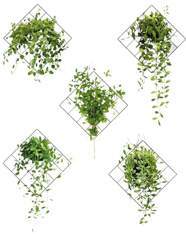 ZWWOGE 5 Pezzi Adesivi Murali 3D Piante Verdi, 5 Design, Decorazione Parete per Soggiorno, Camera, Ufficio, Cucina