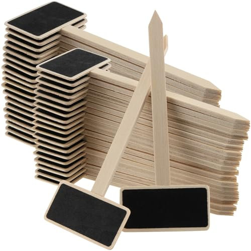 YIXNSW Lot de 40 Étiquettes Potager, 14 x 6,1 cm, Mini Tableau en Bois Étiquettes, Pour jardins, plantes