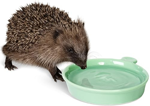 Hedgehog Water Bowl​ - Jacobi Jayne® Hedgehog Water Dish - Weather Resistant, Frost-proof Hedgehog Water Dish -Perfect to Offer Alongside Hedgehog Food