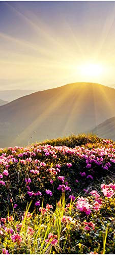 wandmotiv24 Türtapete Bergrücken im Sonnenlicht 90 x 200cm (B x H) - Dekorfolie selbstklebend Sticker für Türen, Türfolie, Aufkleber, M0511