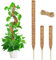 alouweekuky Tutores para Plantas Monstera, 1 Unidades 120 cm+2 Unidades 40 cm, Soportes para Plantas Trepadoras de Interior, Flexible, Vara de Coco, Estaca de Plantación, Soporte para Plantas