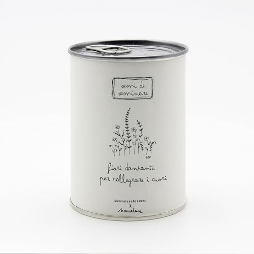 Kit di Coltivazione di Fiori da Regalare con Messaggio - Regalo per Feste per Donna e Uomo Regalo Originale Amici Famiglia Compleanno Natale - Facilissimo da Usare - 100% Realizzato in Europa