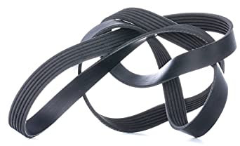 INA Fb 6PK1660, Zahnriemen