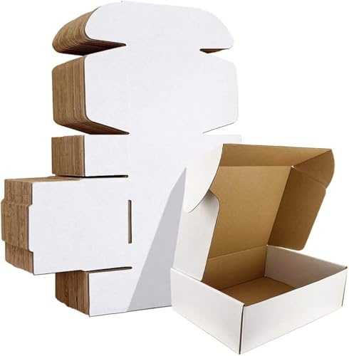 HORLIMER 22,9 x 15,3 x 5,1 cm Cajas de Carton con Tapa para Envios de Paquete, 25 Pack, Cajitas de Papel Kraft para Regalo o Embalaje, Blanco
