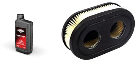 Briggs & Stratton 100007E 4-Stroke Summer Motor Oil SAE 30 1 Litre & 593260 Genuine Air Filter,Blue