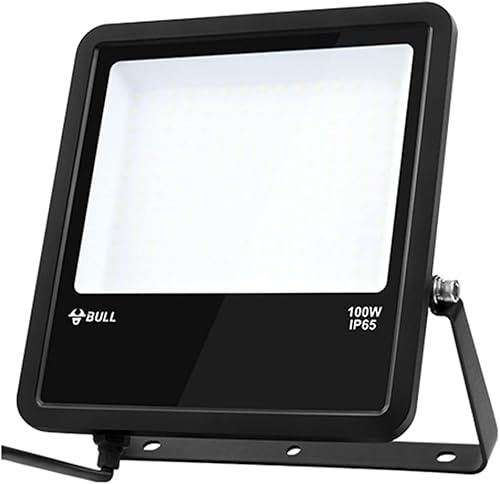 2550LM-17000LM, 6500K Daylight White(100W)