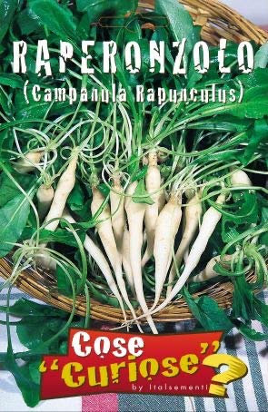 Italsementi Raperonzolo (Campanula Rapunculus)