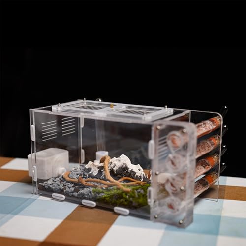 RIMSUNTA Test Tube Ant Nest with Scenic Outworld – Modular Formicarium for Live Ants, Naturalistic Display Habitat for Small Colonies
