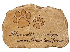 Evergreen Garden Pet Paw Print If Love Could Have Saved You Garden Memorial Stone | Outdoor Safe | 12-Inch | Rainbow Bridge | Remembrance for Lost Love One