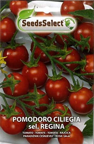 SEMI SEMENTI DI POMODORO CILIEGIA SEL REGINA BUSTINA MAXI