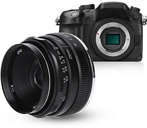 Obiettivo per Ritratti grandangolare Piccolo da 25 mm F1,8 M4/3 con Apertura Grande per Fotocamera Micro 4/3 per E-M5 per E-M5 Mark II