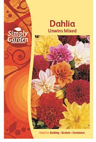 Simply Garden Dahlia Unwins Mixed Seeds Grow Your Own Flowers Multicoloured
