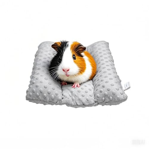 Yanmucy Kanin marsvin säng, fleece dubbelsidig alla årstider, kaninsängkläder små djur mjuk dyna matta för burtillbehör för kanin råtta iller hamster 40 x 35 cm (grå)