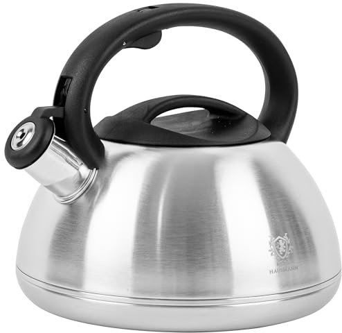 KARL HAUSMANN Bouilloire Inox Argenté - 3L - Bouilloire Sifflante - Bouilloir Induction, Gaz - Poignée Résistante à la Chaleur - Bouilloir Traditionnelle Tous Feux - Retro - Théière Gaz - Bouilloir