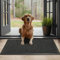GULLAMBO Muddy Mats 80cm x 60cm Large Entrance Door Mat and Pet Rugs Washable Dog Door Mat- Non Slip Slim Mats under Food Bowl, Dog Crate- Rubber Backed Dirt & Dust Trapper Absorbent for Muddy Paws