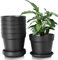 Lot de 6 pots de fleurs ronds en plastique de 16 cm avec soucoupe - Plusieurs trous de drainage - Pour l'intérieur et le balcon - Noir - 12 cm