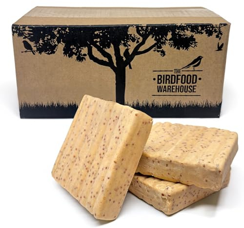 The Birdfood Warehouse Mealworm & Insect Premium Suet Block 10 Pack | 100% Natural Wild Garden Bird Food, Suet for Birds