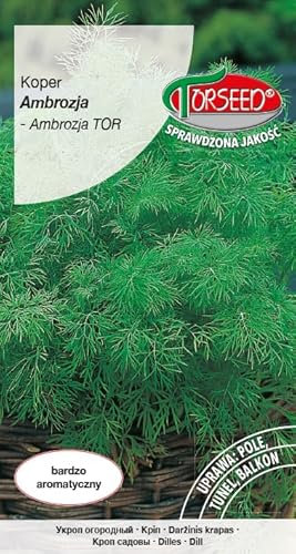 Verdica Ambrosia - Semi di aneto [Anethum graveolens] - Aroma aromatico, ricco di oli essenziali, perfetto per uso culinario, versatile da fresco a conservato, semina marzo-agosto