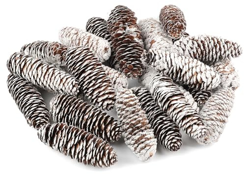 TaoQ C 24 Pieza Decoraciones de Conos de Pino, Conos de Pino de Nieve Natural Ornamentos de Cono de Pino de Navidad para árbol de Navidad Artesanías Regalos otoño Navidad Decoración del hogar