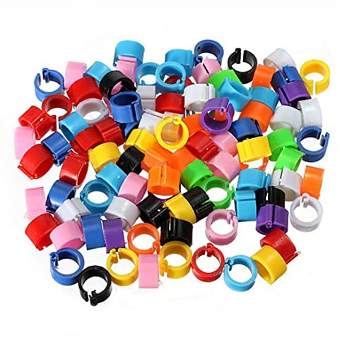 Faroby Birds Foot Rings 100 Pcs, 8mm Colorful Plastic Identification Leg Ring Marking Bands for Pigeons Chicks Bantams Lovebirds