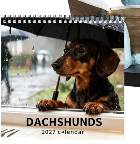 Calendrier Mural Teckel 2027 Agenda chien mignon Jan - Déc 2027