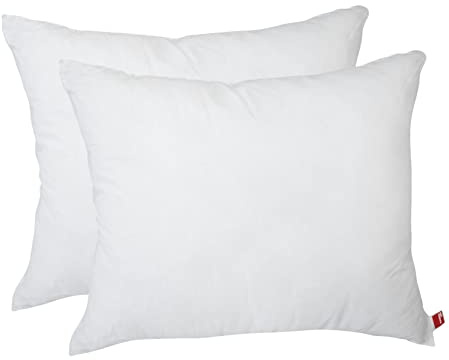 POWER INN – Innerkudde bomull | set om 2 – 50 x 60 cm | Tvättbar kudde som dekorativ kudde, soffkudde och kudde | fylld med Oeko Tex 100 fyllnadsvadd (2, 50 x 60 cm)