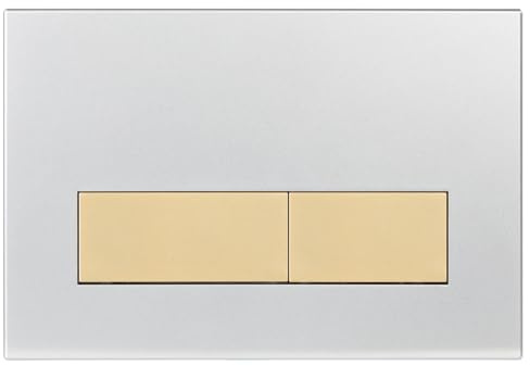 Mendorio Placca di Comando WC, Compatibile con Geberit Sigma, UP300 e UP320, Piastra Doppio Scarico, Dimensioni 246×164 mm (Argento Opaco & Oro Opaco Pulsante)