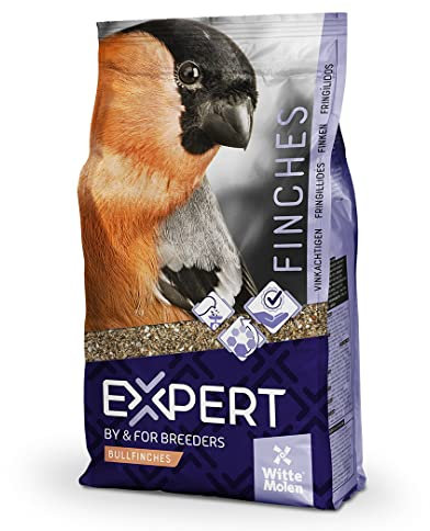 Witte Molen, Expert Dompfaffen Pfingstrosen 20 kg, Vogelfutter, vielfältige Auswahl hochwertiger Samen, Spezialmischung, hoher Fettgehalt
