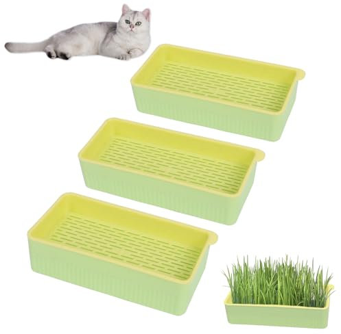 Niuoppy 3Pcs Cat Grass Boxes Soil-Free, Indoor Hydroponic Cat Grass Planting Kit Growing, Catnip Plant Bowls, No seeds (Green)
