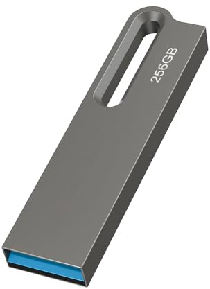 JOIOT 256 Go Clé USB 3.0 Clef USB Métal Imperméable Flash Drive Clés USB 256 Go pour PC, Ordinateur Portable, Stockage de Données (256Go Noir)